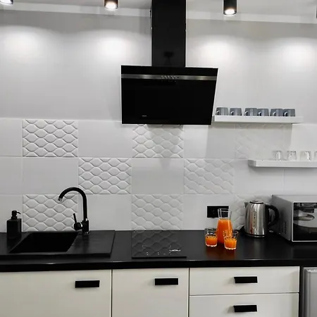 Gray Crane Apartment Gizycko